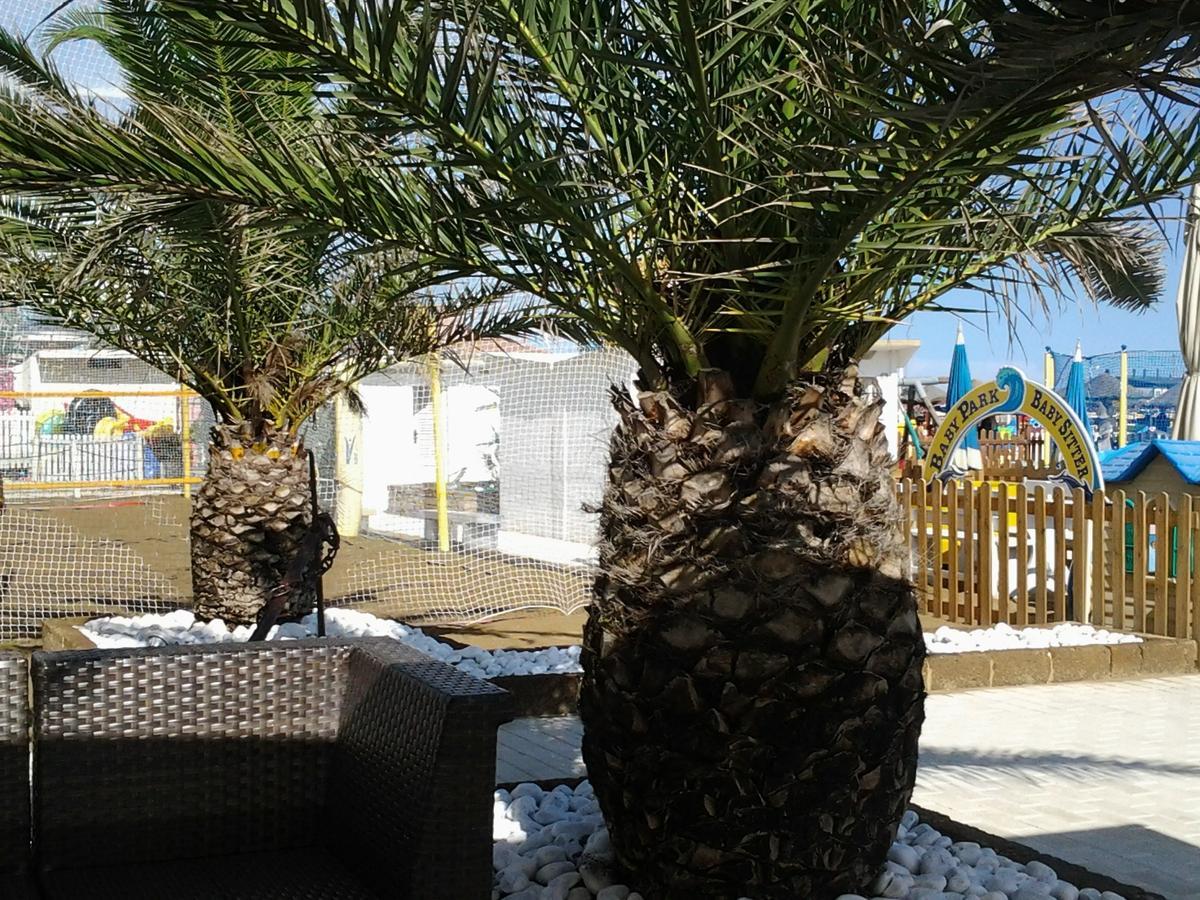 Adriatico Aparthotel Gabicce Mare